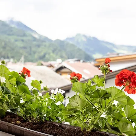 & Garni Knauer Otel Mayrhofen
