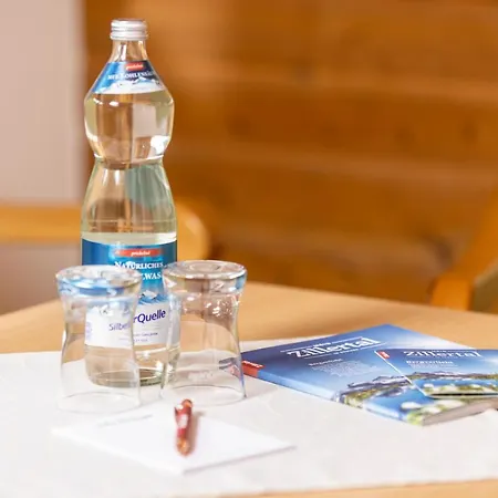 Appart & Hotel Garni Villa Knauer 3* Майрхофен