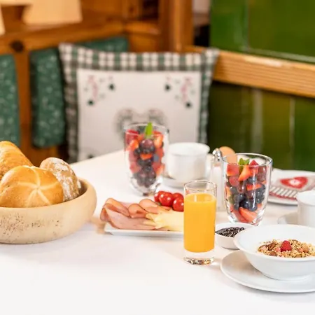 Appart & Hotel Garni Villa Knauer Майрхофен