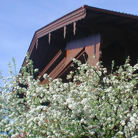 Appart & Hotel Garni Villa Knauer